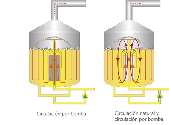 Circulación por bomba